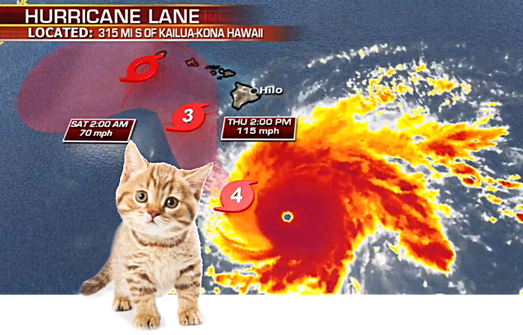 Hurricane Lane Cat Sanctuary