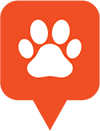 paws