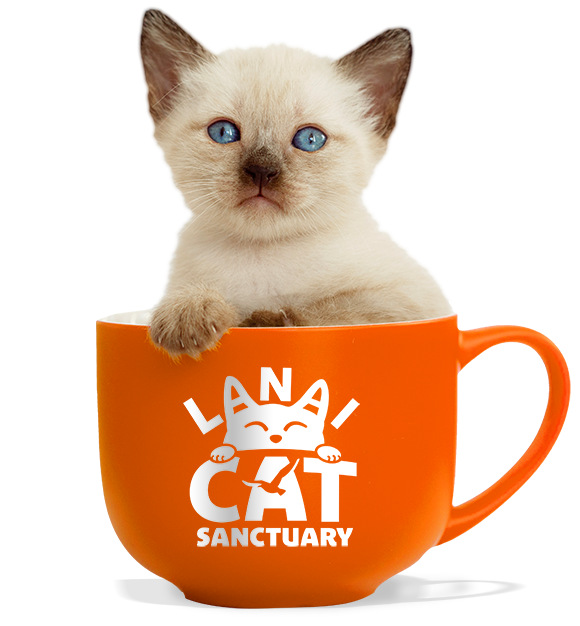 Lanai Cat Sanctuary Cup