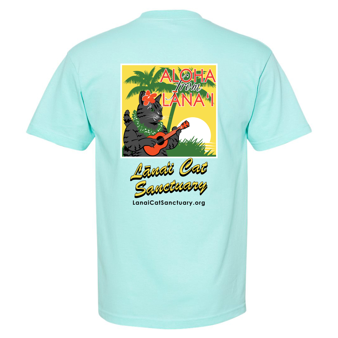 Men's T-Shirt - Celadon - Ukulele Cat