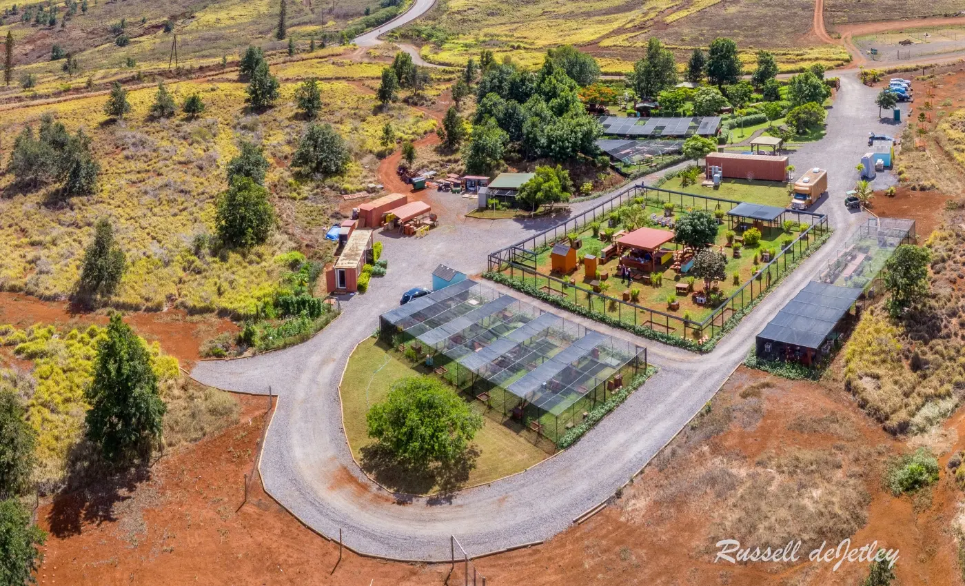 DronePicBlog