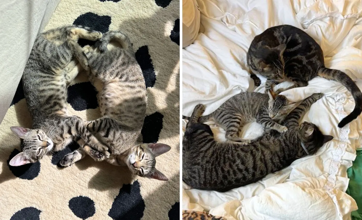 Lani and Kai