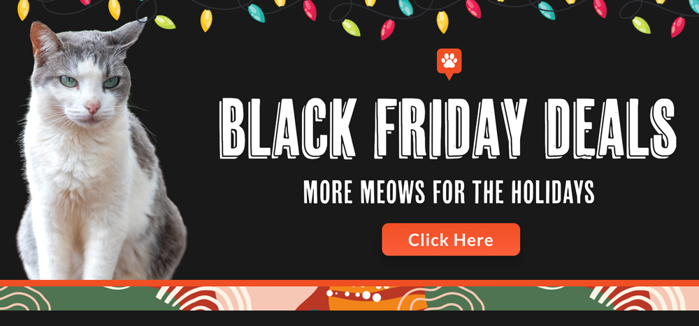 Black Friday Graphic