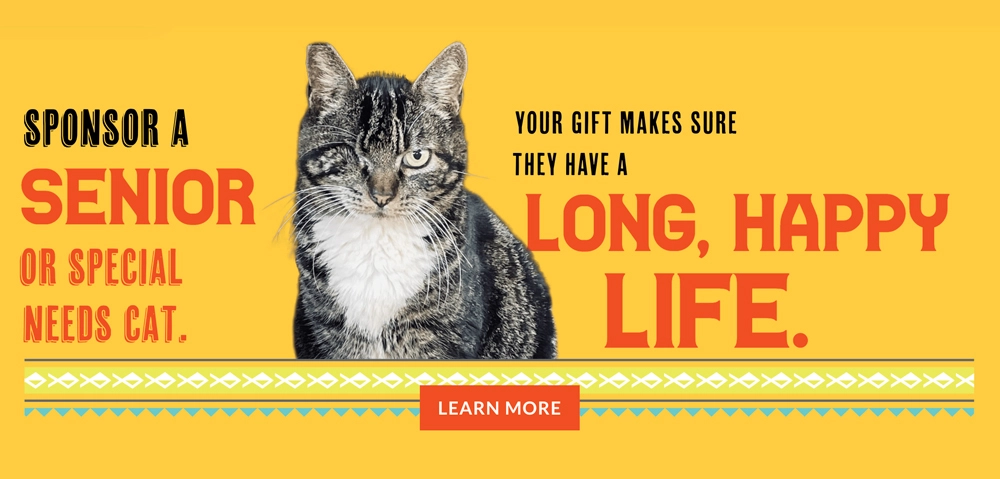 Sponsor a Senior Cat banner
