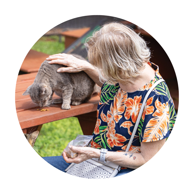Woman petting cat at Lanai Cat Sanctuary