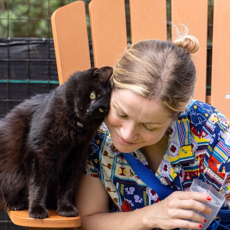Cat Pets 3 Woman and black cat touching heads