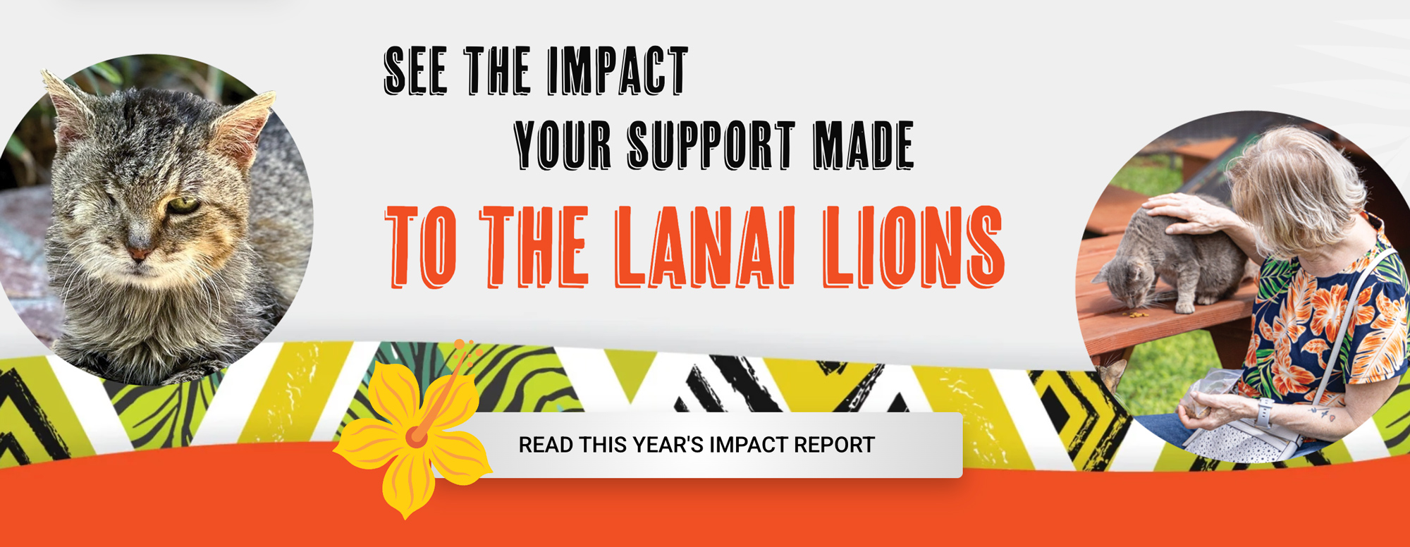 Banner promoting the 2026 Impact Report